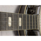 1976 Epiphone EB-90 Masterclone Resonator 5 String Banjo Case 7607 Lida Japan 227 EB-98 Vintage