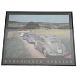 16x20" Endangered Species Framed Split Window VW Beetle Poster Bug Print Vintage Classic Car