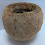 Tiki Carved Hand Painted Coconut Shell Can Candle Holder Planter Pot Colorful Ha