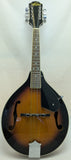 Mandolin on a white background