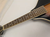 Oscar Schmidt Washburn Model OM10 Acoustic Mandolin f-Hole Sunburst 8 String DC12100033 Spruce Top