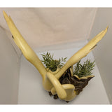 18" Wings of Love Romantic Swans Resin Sculpture Entwined Swan Necks Touch Of Grace MCM Bronze Finish