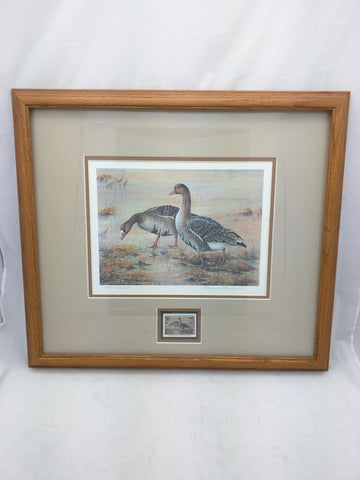 Signed Numbered 1988 Waterfowl Restoration Stamp Print Marion Toillion Framed 17 X 15 As Is