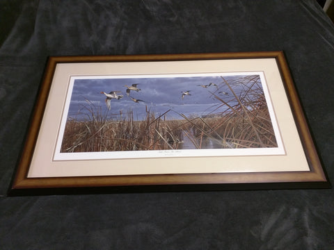 Tails From The Blind Scot Storm Signed Numbered Print Framed 37x22 Ducks Unlimited