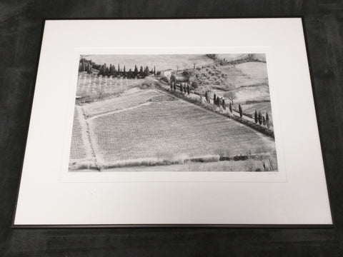 Vineyard Orchard Jeff Torp Signed Photo Print Farm Landscape