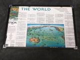 The World Map Don Mills Unique Media Poster Print Illustrated