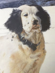 Mistaken Identity English Setter Phillip Crowe Print Signed Numbered Limited Edition