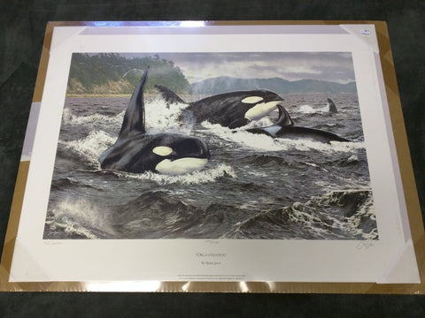 Orca Stration Brian Jarvi Signed Numbered Print Killer Whale Ted Danson
