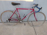 Eros Bianchi Pink Vintage Road Bike Bicycle Shimano RX100 Mavic Rims