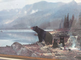 Bears Camping Michael Coleman Print Oak Frame